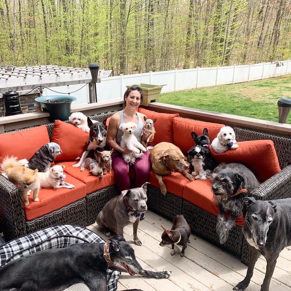 The couple spent a lot of money to turn their home into a paradise for their dogs
