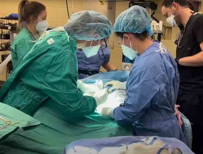 After a prolonged labor, doctors decided to do an emergency C-section on Mahale. 