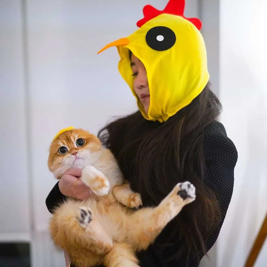 A woman in a chicken costume holding Pisco