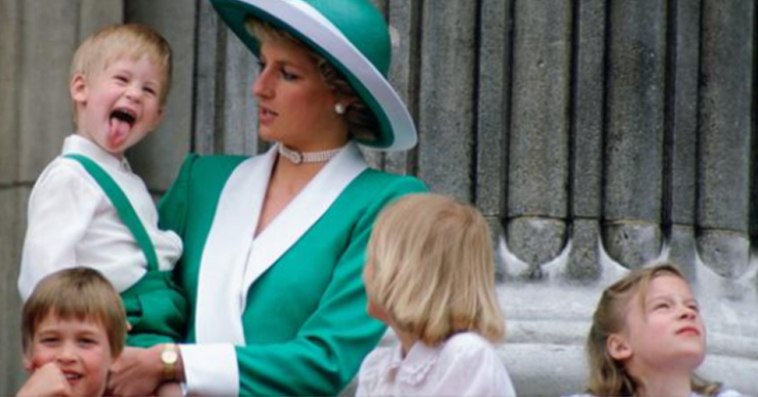 32 very rare photos of Princess Diana - Pet Is To Love